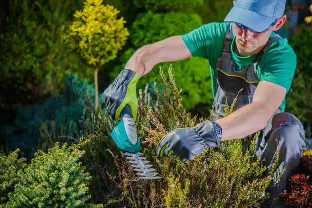 landscaping services Southwest City